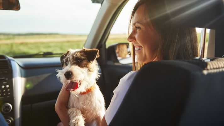 Road trip with dog 2024 planner